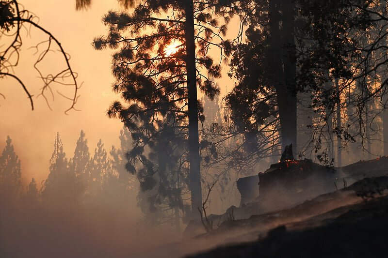 Muškarac optužen za podmetanje požara u Kaliforniji: Vlasti se nadaju povoljnim vremenskim uslovima za suzbijanje vatre